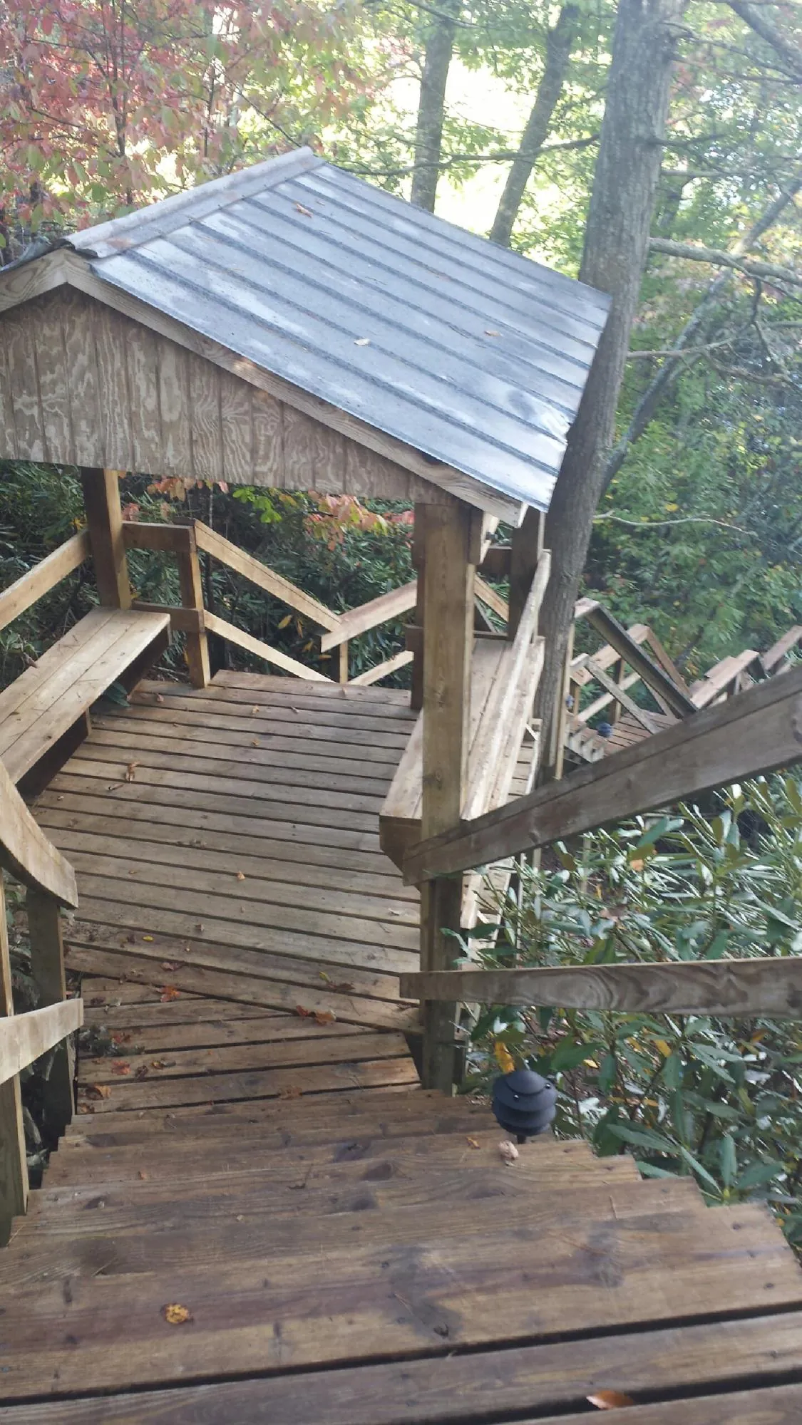 Metal roofed shelter over wooden steps on a wooded walkway — Skylight Repair & Installation work by our crew in Roslyn